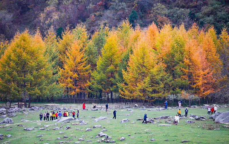 2023年10月27日，深秋時(shí)節(jié)的陜西秦嶺太子嶺漫山紅黃、色彩交織，進(jìn)入最佳觀賞期。